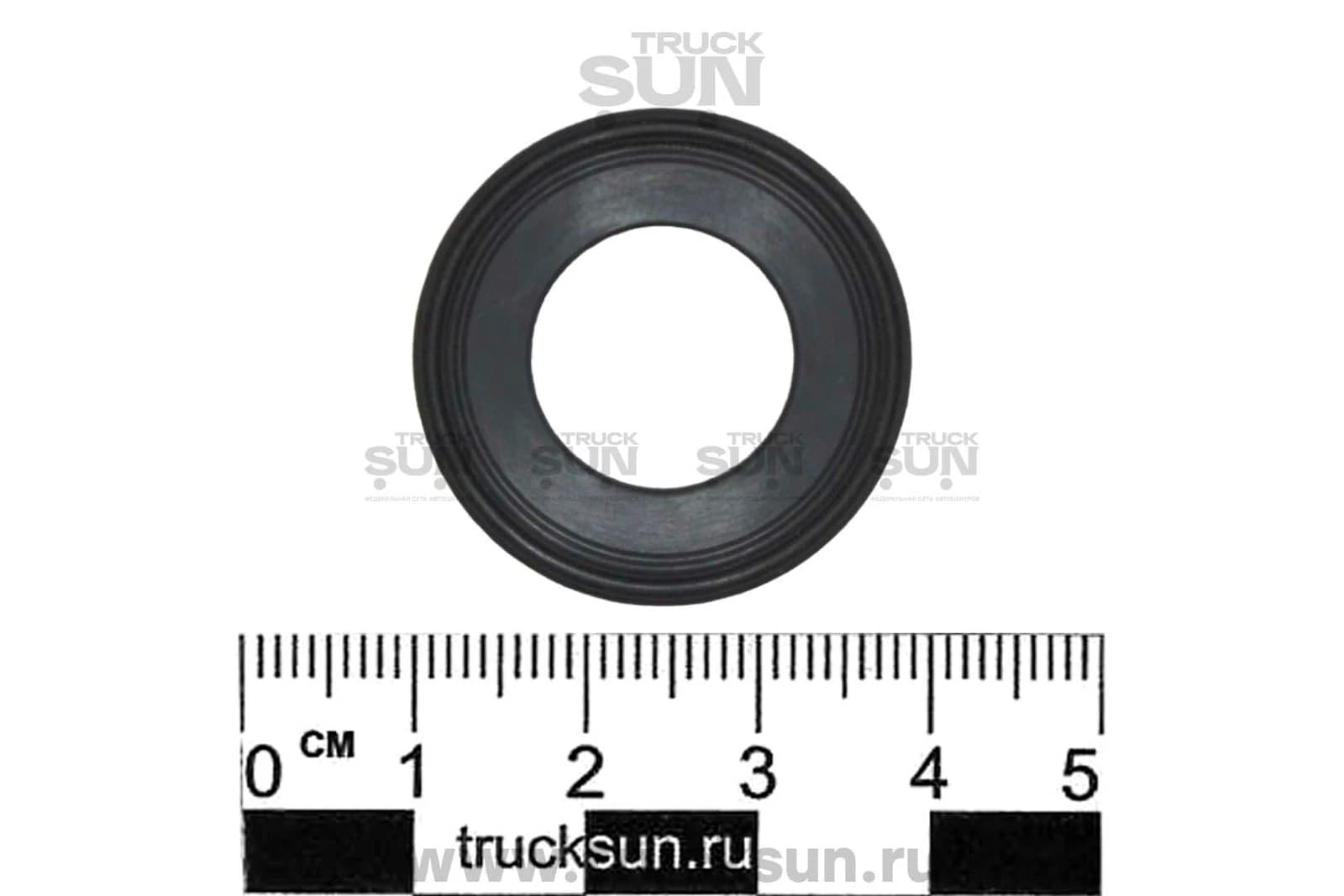 Кольцо теплообменника JAC N120/CUMMINS 3.8