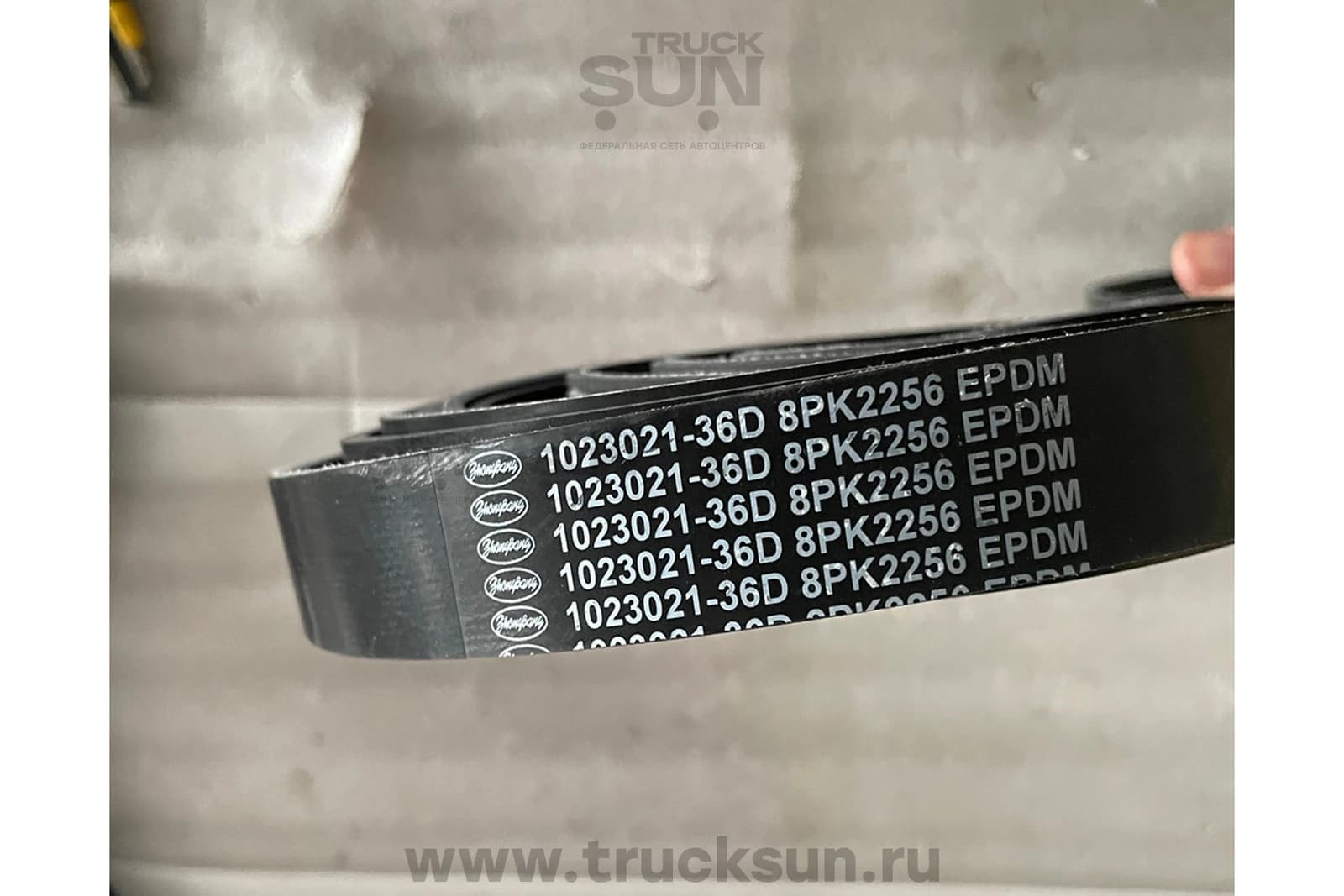 Ремень 8РК2256 приводной (генератора и помпы) FAW 3252, 3312, 3250, изображение 2 из 4