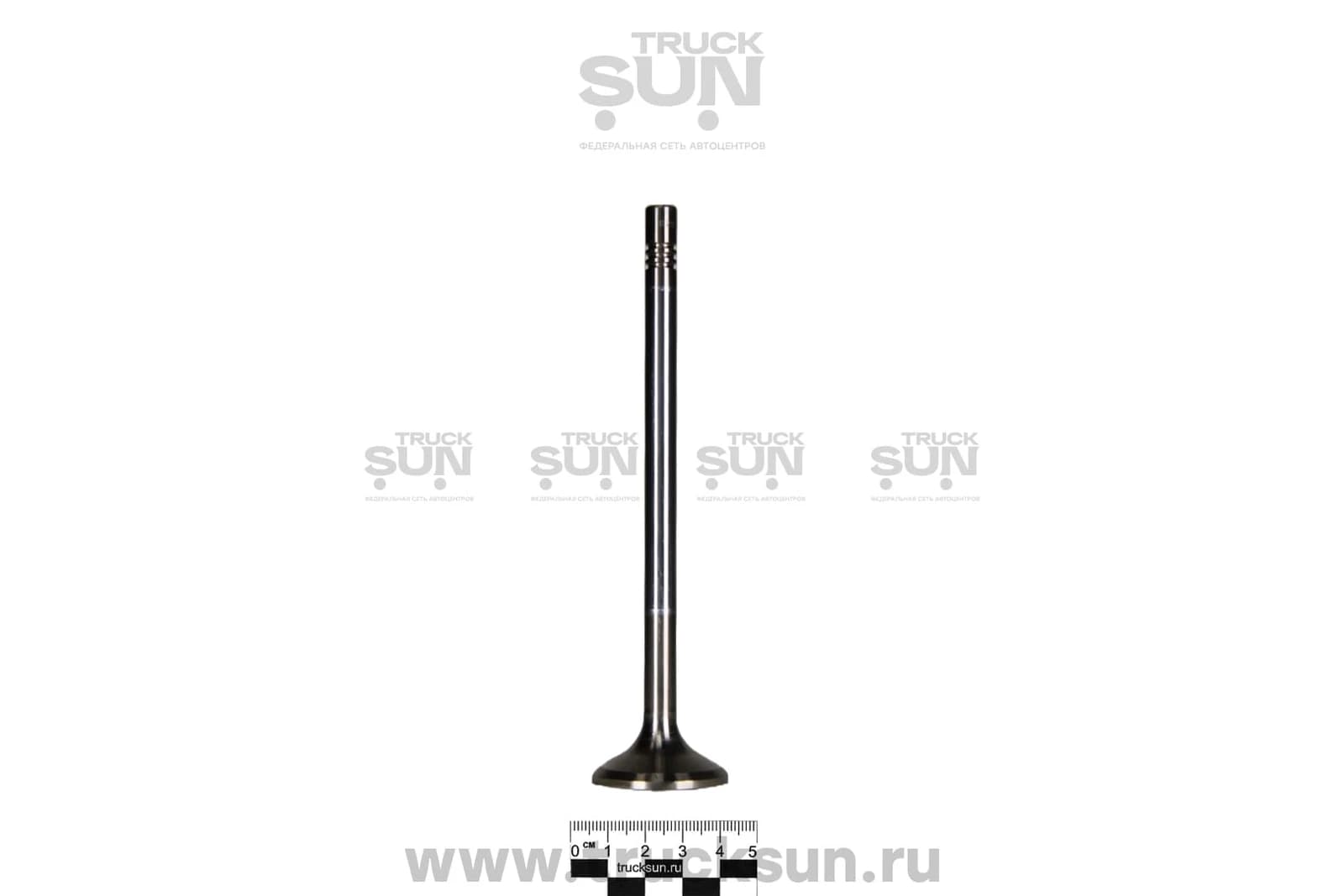 Клапан выпускной MC11/MC13 C7H, изображение 3 из 3