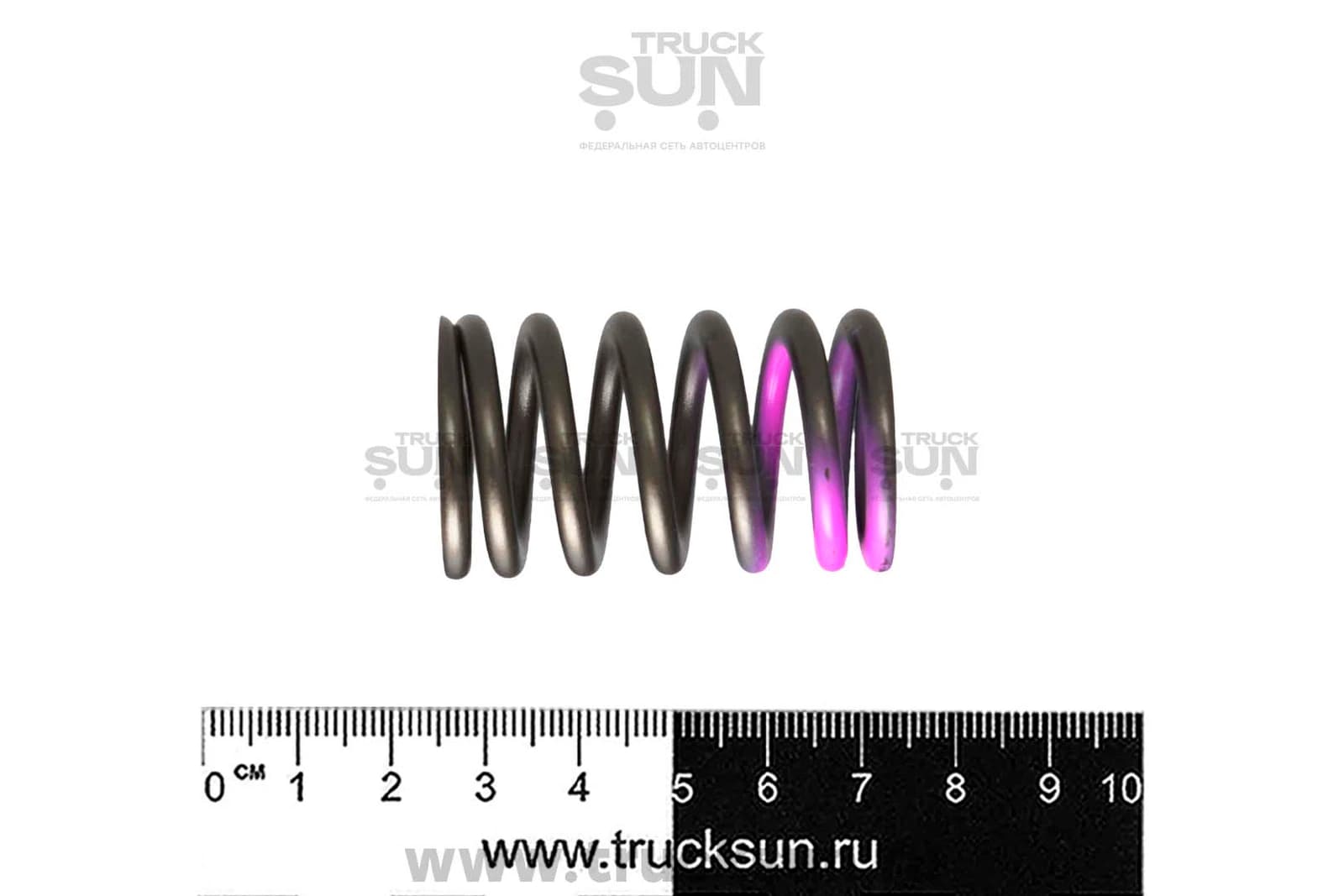 Пружина клапана ISF3.8 JAC N90 16 шт, изображение 2 из 2