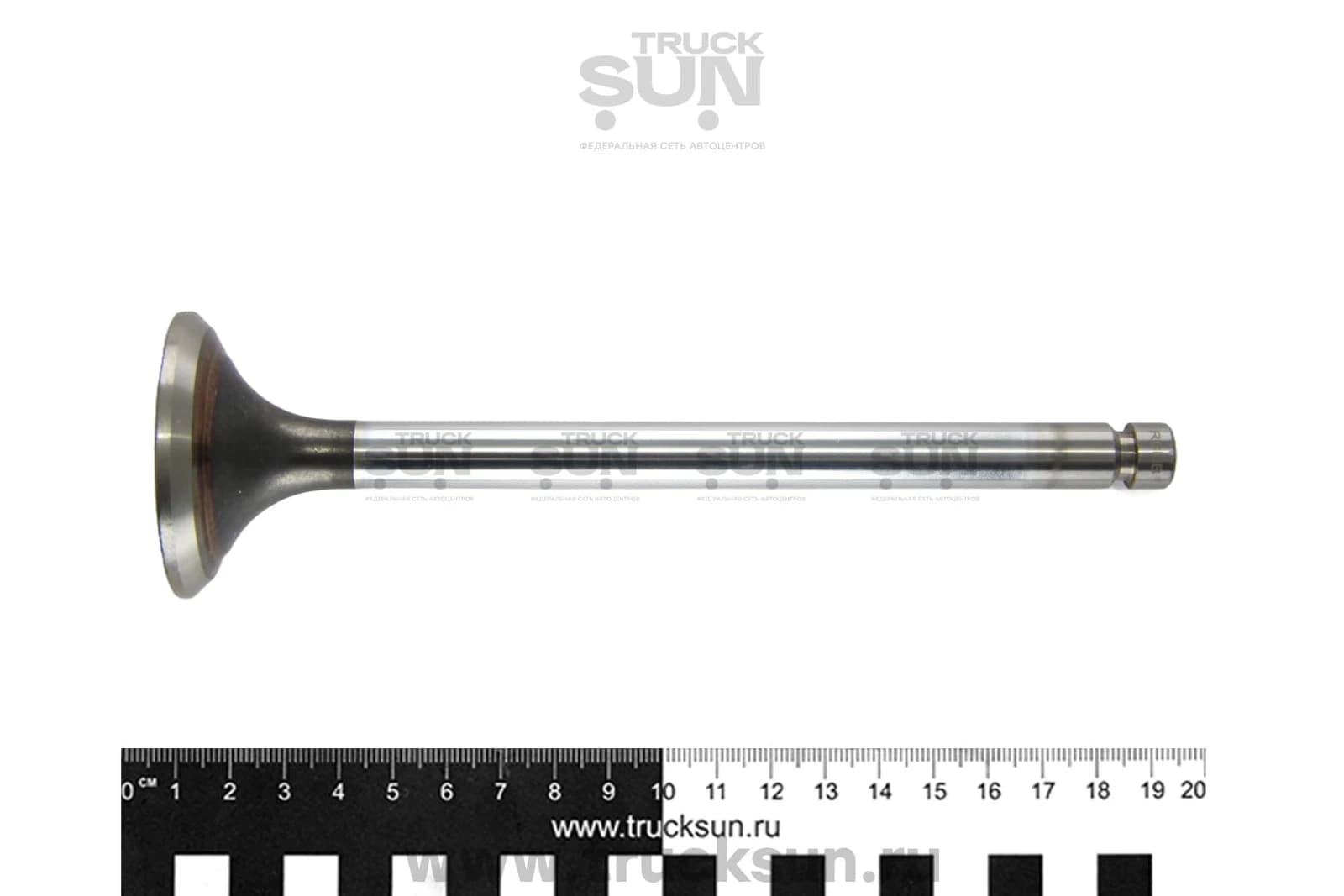 Клапан выпускной D6AB HD170, изображение 2 из 3