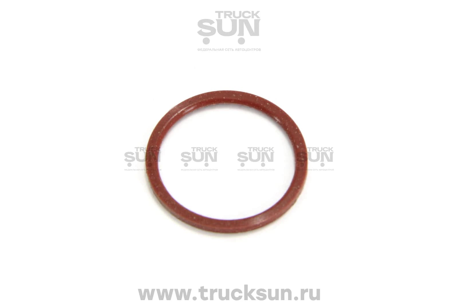 Кольцо уплотнительное кронштейна коромысла D6AC HD170, изображение 1 из 2