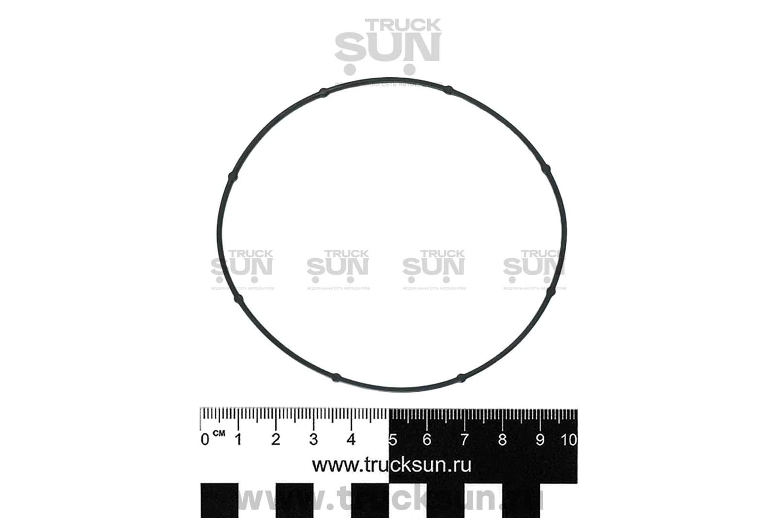 Уплотнительное кольцо ТНВД компас 5