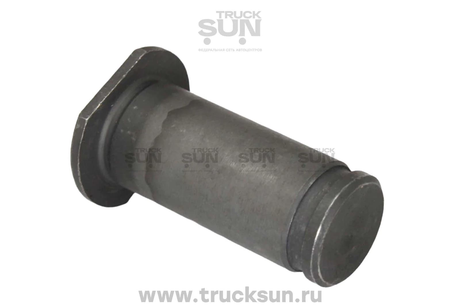 Палец колодки тормозной RR JAC N75/80/Камаз Компас, изображение 1 из 2