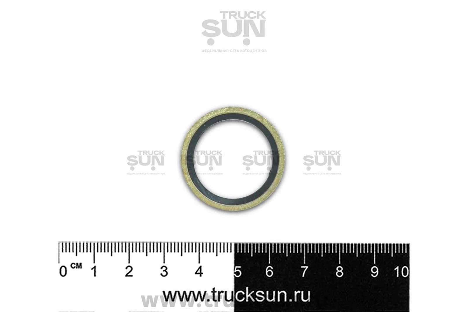 Кольцо уплотнительное пробки моста сливной/заливной Камаз Компас 5